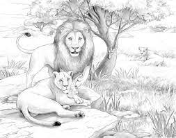 safari lions coloring page illustration for the children stock photo by c illustrator hft 31915817 coloriage de la gare