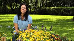 The colors help them attract a mate and absorb heat and the color also helps them blend in among the flowers when they are feeding. Planting A Butterfly Garden Flowers For Florida Youtube