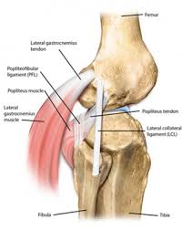 Image result for PCL Sulcus Test