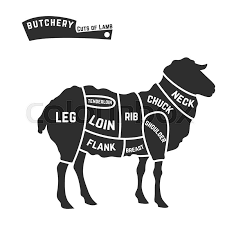 Check spelling or type a new query. Lamb Or Mutton Cuts Diagram Butcher Stock Vector Colourbox
