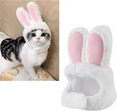 Cat Bunny Hat, Costume Cute Rabbit Hat with Ears for Cats, Small Dogs, Pet  Hat Party Costume | Fruugo NO