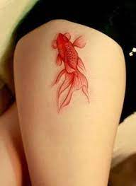 Simple Koi Fish Tattoos Google Search Tattoos Goldfish Tattoo Picture Tattoos