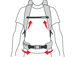 ortovox backpack size chart