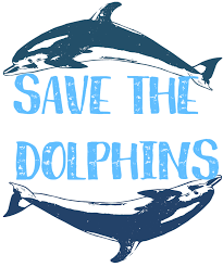 Save The Dolphins Sticker By Lin Watchorn White 3 X3 Dolphins Clearwater Marine Aquarium Save Our Oceans