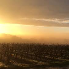 Le Ciel En Feu Des Matins D Hiver Sur Les Vignes Du Chateaudereignac Winetrip Winelover Instawine Sunrise Nofilter Wine Tourism Instagram Tourism