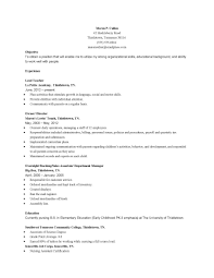 Early Childhood Education Child Care Resume Sample Best Resume Examples