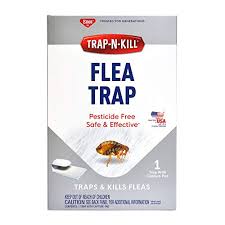 We did not find results for: 5 Best Electric Flea Traps Most Effective At Catching Fleas At Home