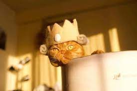 Pin On Cat In The Hat