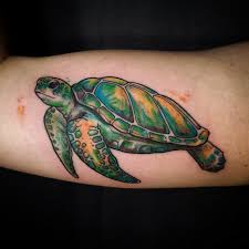 Celtic turtle tattoo on man right back shoulder. 85 Best Sea Turtle Tattoo Designs Meanings 2019