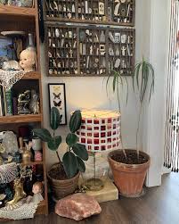 brook ballard (@sock.lunch) • Instagram photos and videos