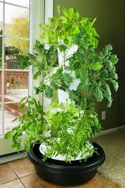 — indoor vertical gardens are a fantastic way to maximize unused space by growing herbs and vegetables indoors, especially if your garden space is limited, which helps reduce grocery bills and. Hydroponic Indoor Garden Planters Foody Gardens