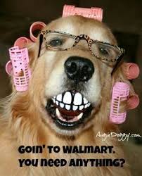 Check spelling or type a new query. 150 Random Things Ideas Funny Weird Bones Funny