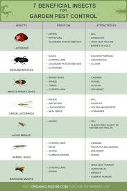 These practices include variety selection, crop rotation, cultivation, weed management, water. 14 Beneficial Insects For Garden Pest Control Infographic