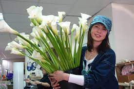 Born 29 september 1992), also known as charlie zhou, is a chinese singer. å‰å¤«ç½¹ç™Œ å¤§ä»åª½å'¨ä¸¹è–‡ç—…æ¦»ä¸é›¢æ£„å—å° æœ€æœ‰æƒ…å‰å¦» Ettodayæ˜Ÿå…‰é›² Ettodayæ–°èžé›²