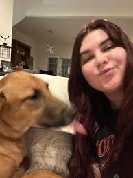 Hi All! I recently joined this group in hopes to share my services of dog  watching! My boyfriend and I live close to John Ball Zoo and have been  watching dogs on