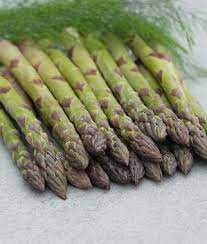 Asparagus Spartacus Hybrid Https Www Burpee Com Vegetables Asparagus Asparagus Spartacus Hybrid Prod500680 Perennial Vegetables Asparagus Seeds Asparagus
