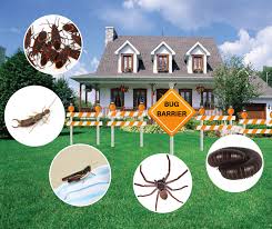 The word itself gives you an idea that we deal with pest control. Perimeter Pest Control Lawn Doctor Of Fort Collins