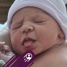 j What are the bass biting