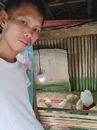 Good afternoon guys My mini poultry