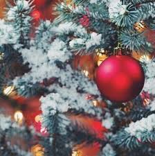 We did not find results for: Christmas Mood Board Explore Tumblr Posts And Blogs Tumgir