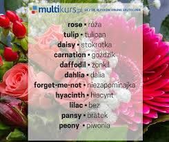Daffadilly british english dialect , także: Rodzaje Kwiatow Angielski Listy Slowek Slowka Pl