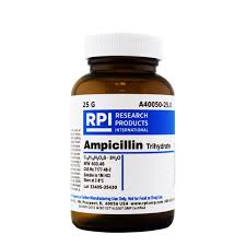 Image result for Ampicillin