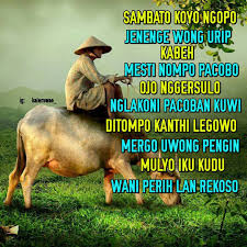20 Kupulan Kata Kata Bijak Jawa Bergambar Lengkap Tentang Motivasi Urip Sederhana Koleksi Gambar Fecboook Intagram Mukjizat Dan Doa
