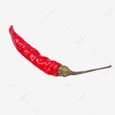 Food png,cili pica ferara,transparent png, png. Gambar Cili Kering Rasa Cili Kering Merah Hot Chili Peppers Png Dan Clipart Untuk Muat Turun Percuma
