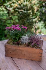 Auflagen für ihre gartenstühle in großer auswahl bei dänisches bettenlager! Selbstgemachte Gartendeko Fur Den Herbst Leelah Loves
