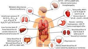 We did not find results for: Ventilation In Patients With Intra Abdominal Hypertension The International Fluid Academy