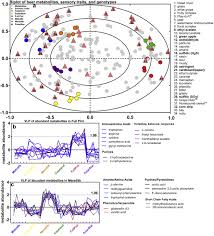 Influence Of Malt Source On Beer Chemistry Flavor And