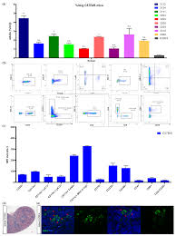 Biomolecules Free Full Text Noninvasive Imaging Of The