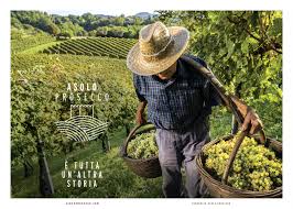 Asolo Prosecco: Unveiling the Charms of a Treasured Italian Sparkler |  Domusvini.eu