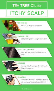 She messaged the coconut oil into her scalp and left it on overnight. Get Rid Of Itchy Scalp With Tea Tree Oil Method 1 Tea Tree Oil With Coconut Oil Both Tea Tree Oil An Itchy Scalp Treatment Itchy Scalp Dry Scalp Treatment