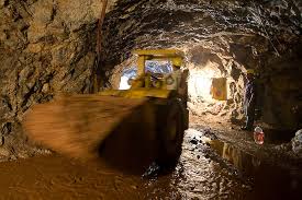 Animaux sauvages, espèces végétales exotiques. En Afrique Du Sud Le Filon Des Mines D Or S Epuise Irremediablement