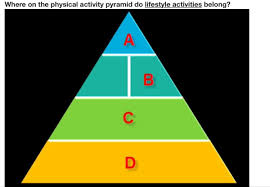 Actually achieving that goal is much more difficult, and requires a consistently active lifestyle. Where On The Physical Pyramid Do Lifestyle Activities Belong Brainly Com