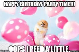 Pomeranian Birthday Meme For Mom Happy Birthday Meme Birthday Meme Animal Birthday