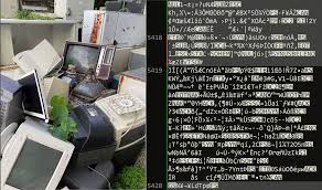 together insights on Palestinian