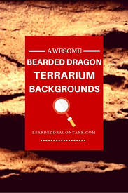Check spelling or type a new query. Get The Coolest Bearded Dragon Background Ever Bearded Dragon Tank