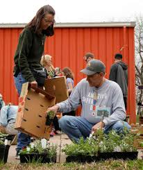 Native plant shoppers create buzz during annual sale