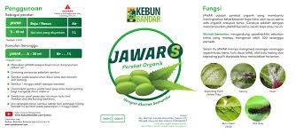 Maybe you would like to learn more about one of these? Kebun Bandar Beitrage Facebook