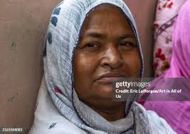 568 Real Tiger Stock Photos, High-Res Pictures, and Images