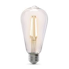 Intellibulb Dusk To Dawn 800 Lumen 5000k Led St19 Feit Electric In 2020 Dusk To Dawn 5000k Security Lights