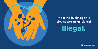 Image result for Hallucinogen