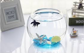 Whether you're looking for decorative wall plates or decorative glass bowls for potpourri, kirkland's has the perfect, chic piece for your. 1x Wedding Clear Glass Fish Bowl Vase 15cm High We V46 8 00 Sunrise Imports Where Everyone Pays Wholesale Price