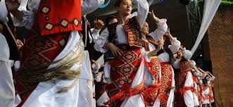 Image result for ghiocel