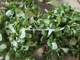 Its specific epithet oleracea means vegetable/herbal in latin and is a form of holeraceus (oleraceus). Priya S Virundhu Paruppu Keerai Pasiparuppu Kadaiyal Purslane With Dal Verdolaga Mexican Parsely Cooked With Dal