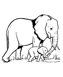 What is the biggest animal in the world? Elephant Coloring Pages To Print Coloring Home