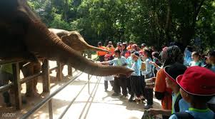 This is the best zoo in my opinion in malaysia. Melaka Zoo Admission Ticket In Melaka Malaysia Klook Malaysia