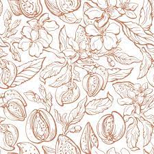 Free for personal and commercial use. Almond Seamless Pattern Vector Real Branch Nut Leaf Flower Royalty Free Cliparts Vectors And Stock Illustration Image 137069920
